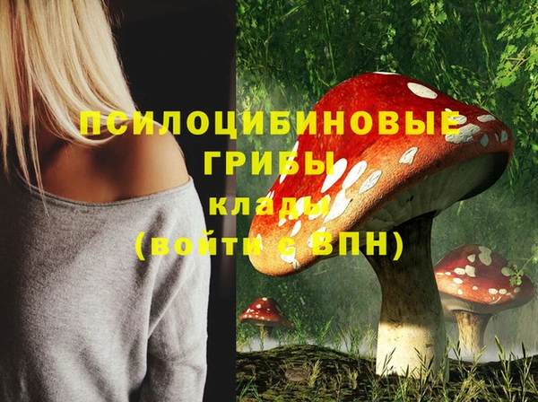 винт Алексин